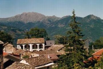 Sfoglia la galleria